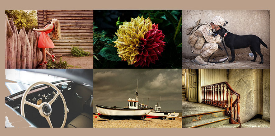 Photo Gallery Page Example