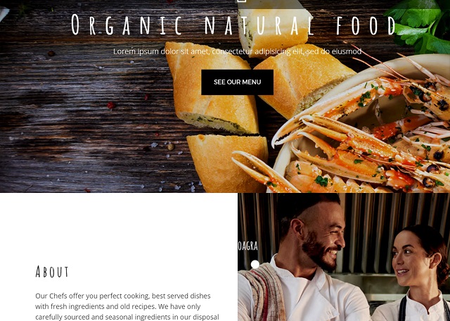 kallyas food WP theme