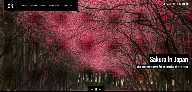 WordPress theme with strong photo and video support