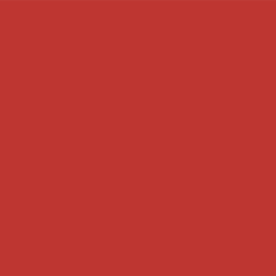 buddypress
