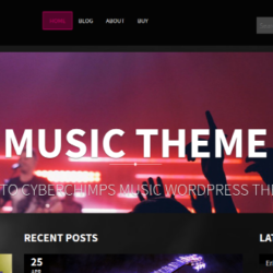 strings – Video WP Theme for musicians