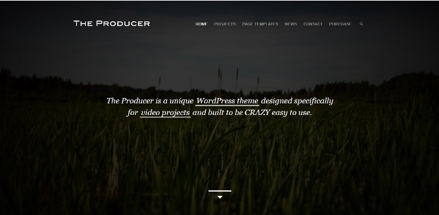 WordPress theme revolving around videos
