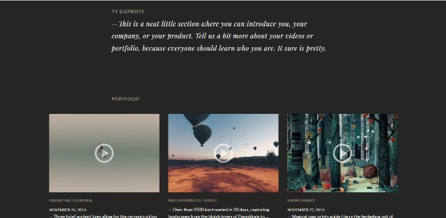 responsive WordPress video theme