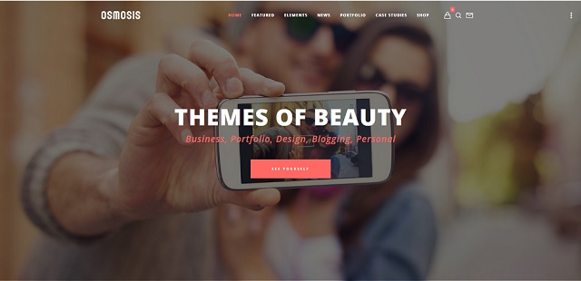 flexible and responsive multipurpose WordPress theme