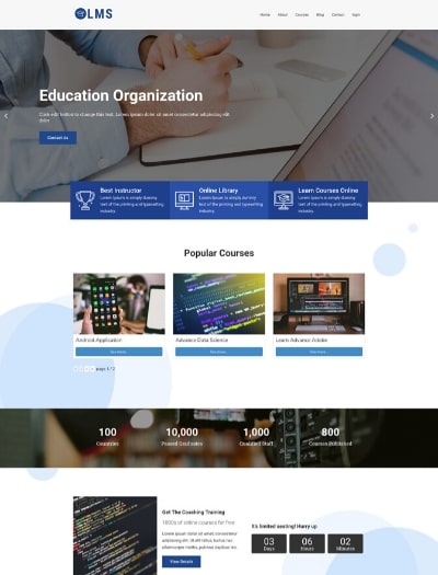LMS WordPress Website Template