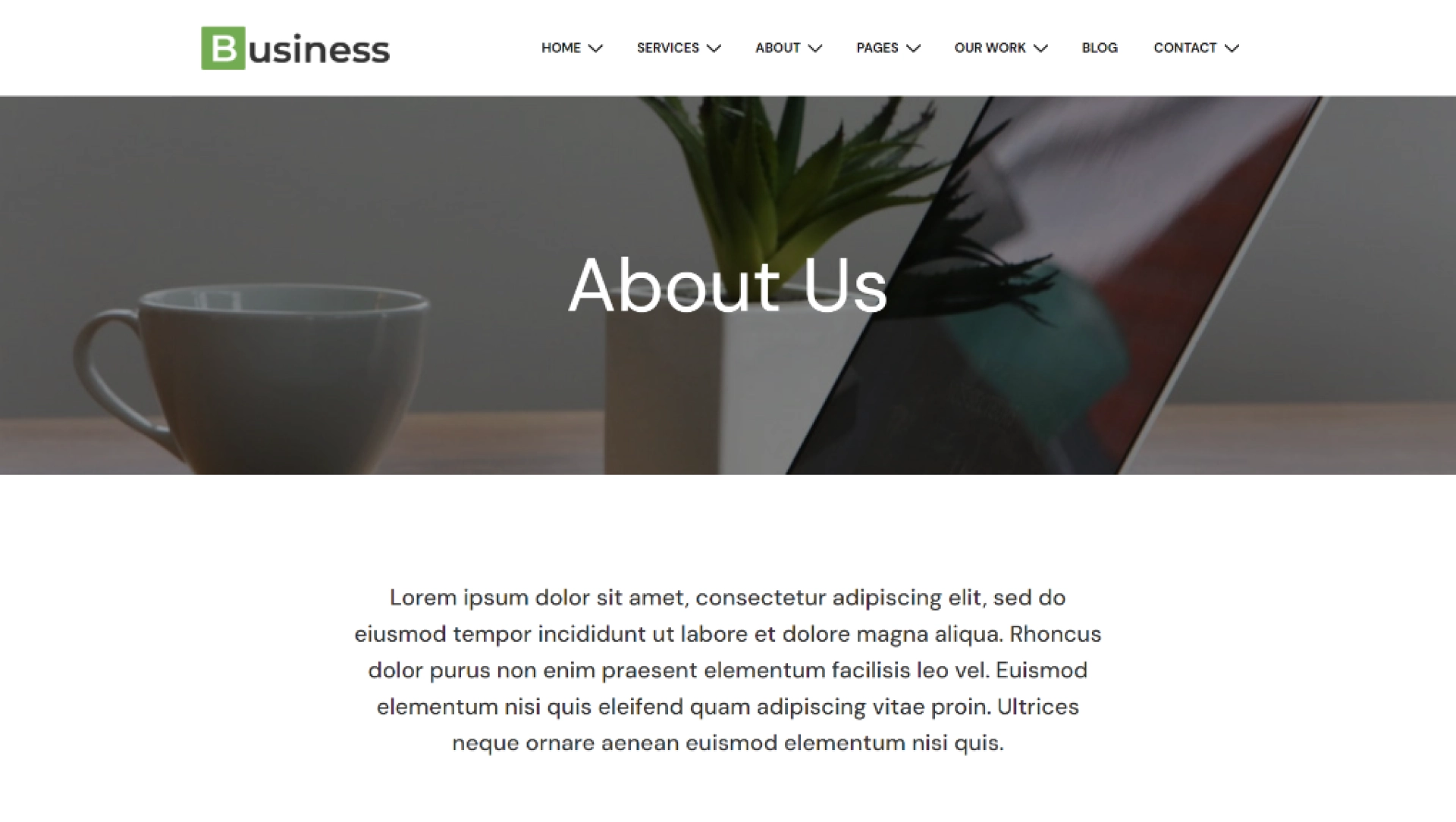 Web Agency Business-About 2