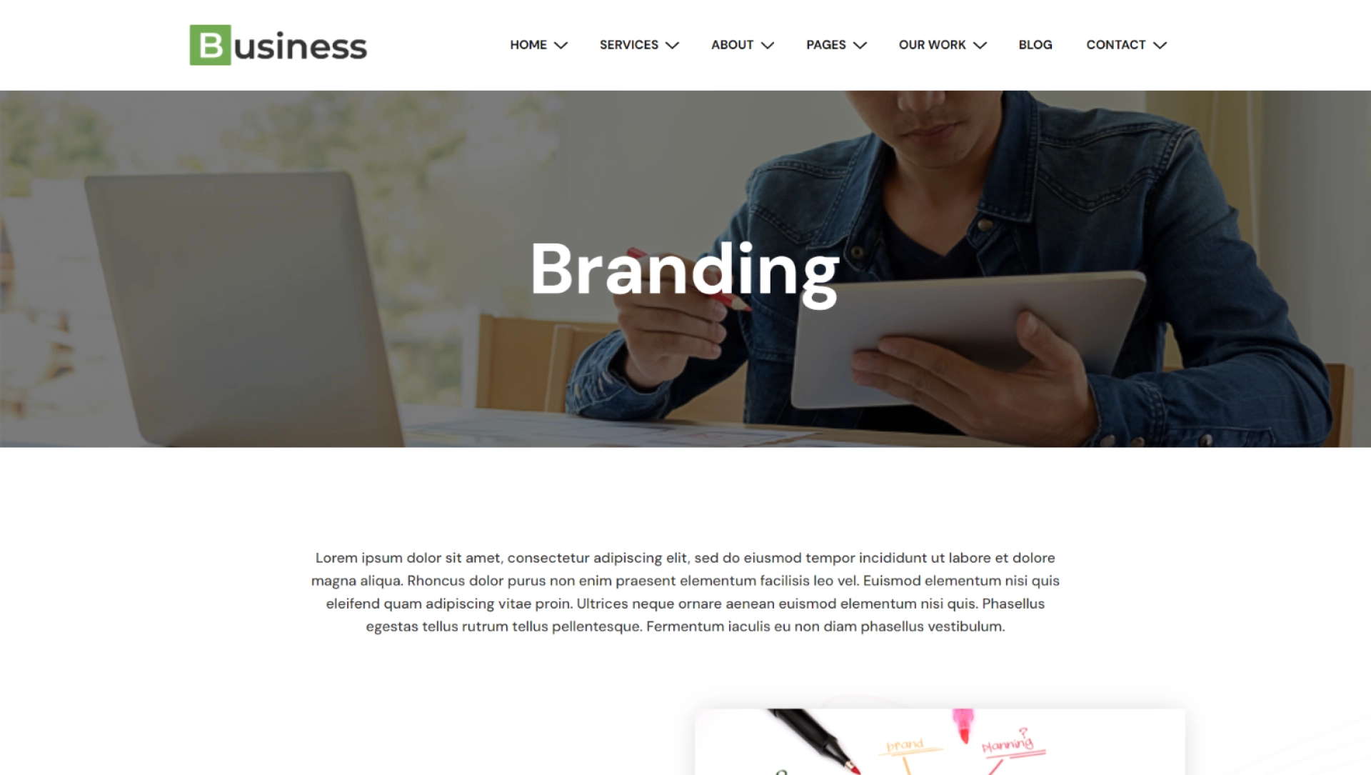 Web Agency Business-Our Work