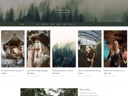 Feminine Blog- Free WordPress Blog theme