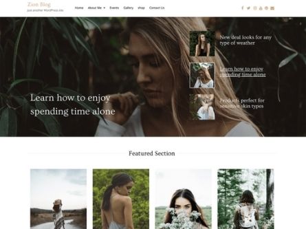 Zion Blog- Blog WordPress theme