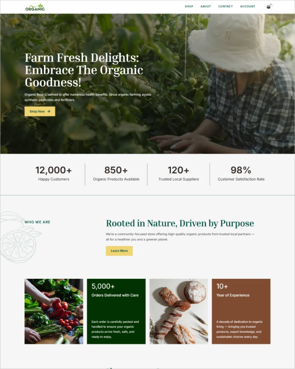 Organic Products Store WordPress Template