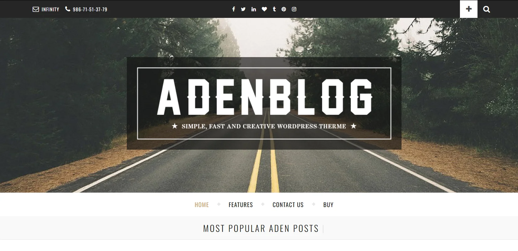 Aden WordPress Blog Theme