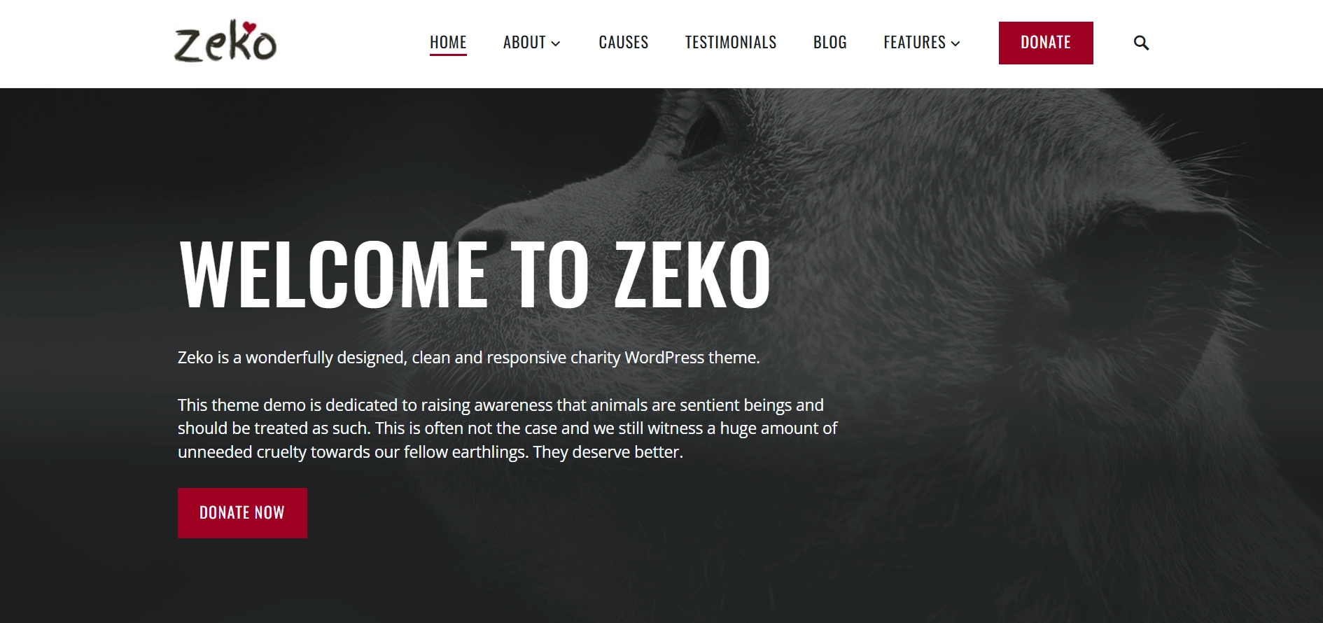 Zeko Theme