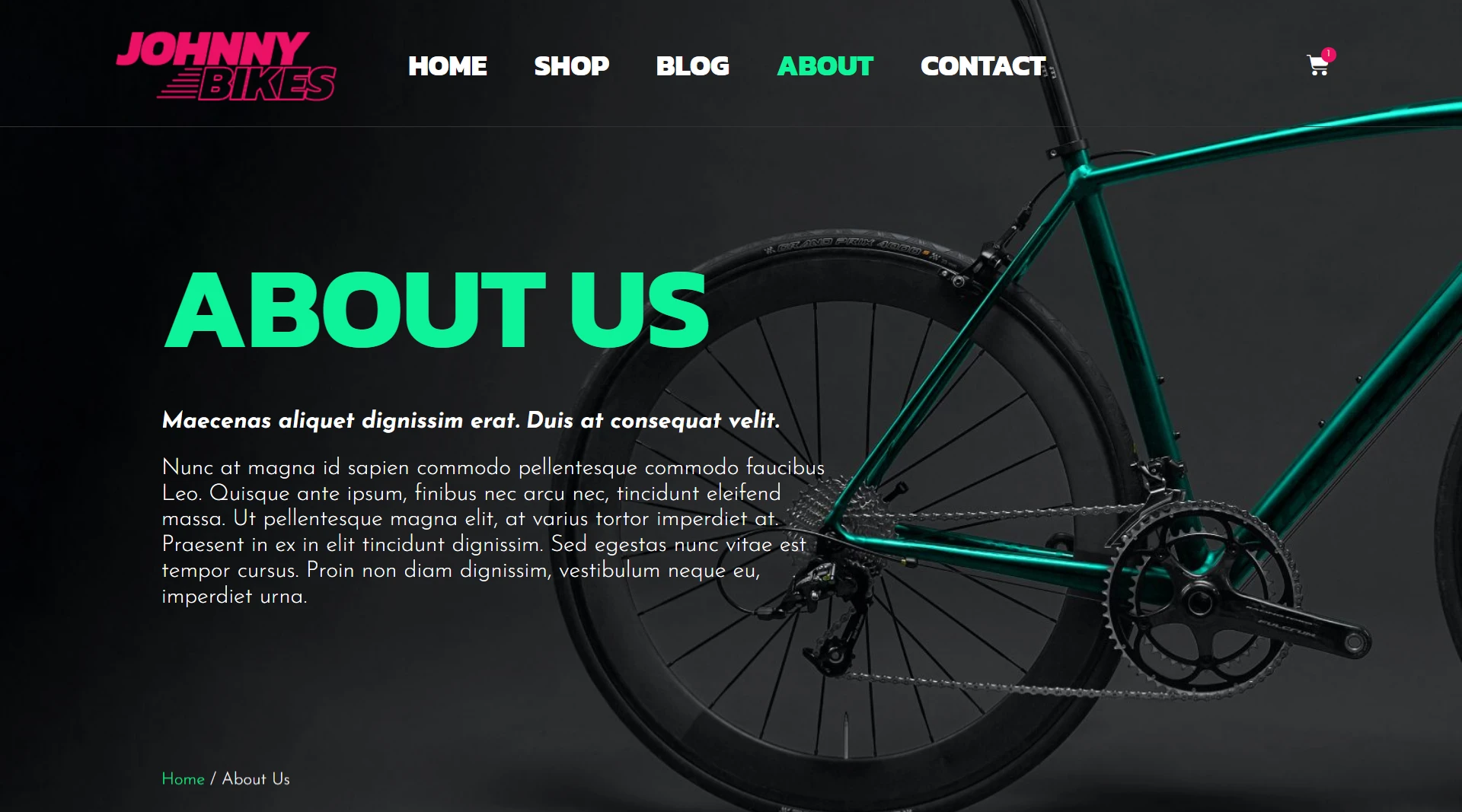 Bike Store-About