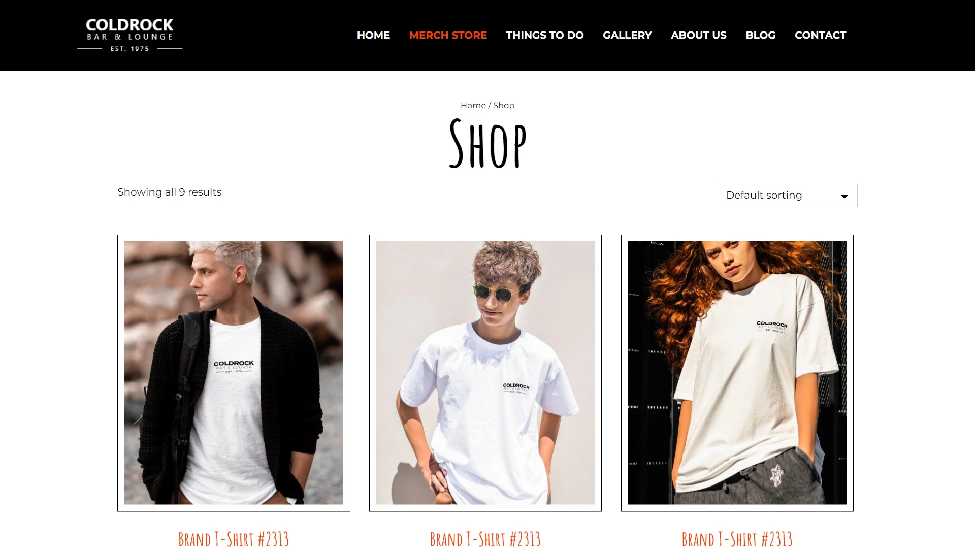Pub-Bar-Shop-Theme