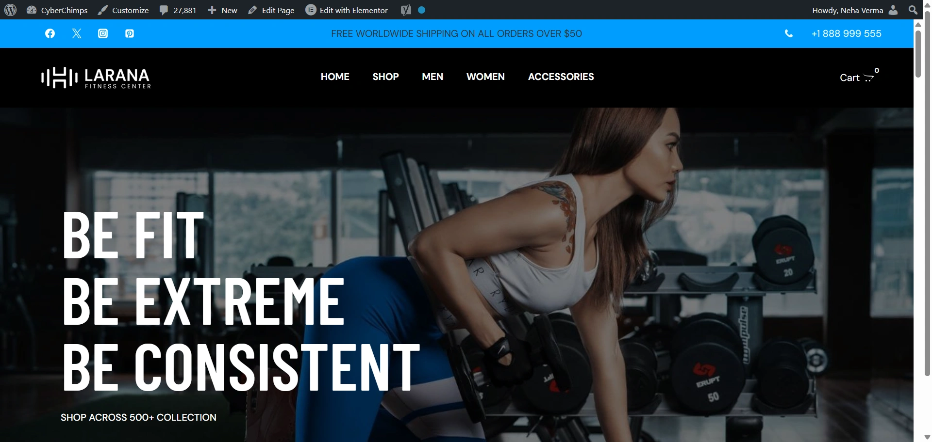 Fit store fitness WordPress theme