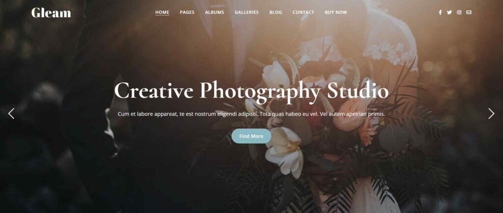 Gleam Theme For Photographers