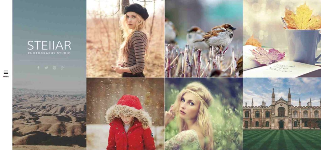 Stellar WordPress Photography Theme