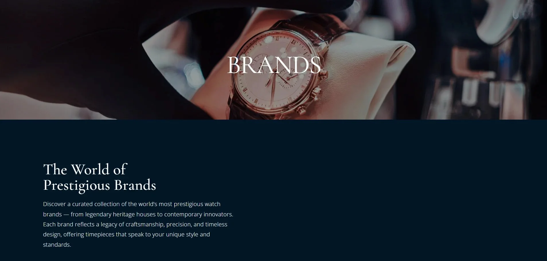 Watch-Store-brands page