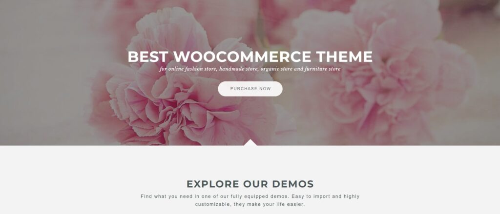 Gecko WordPress Theme