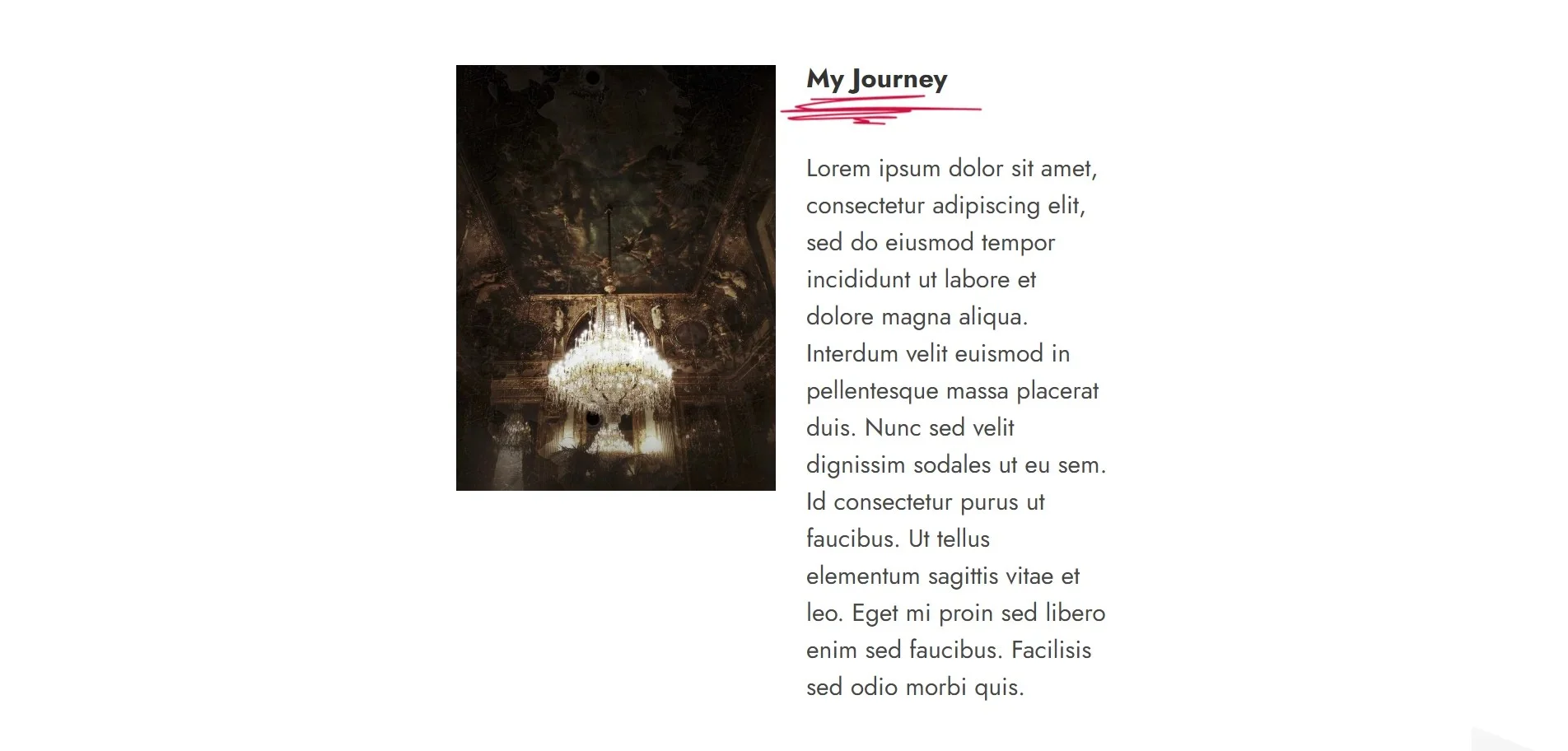 Painter About us page