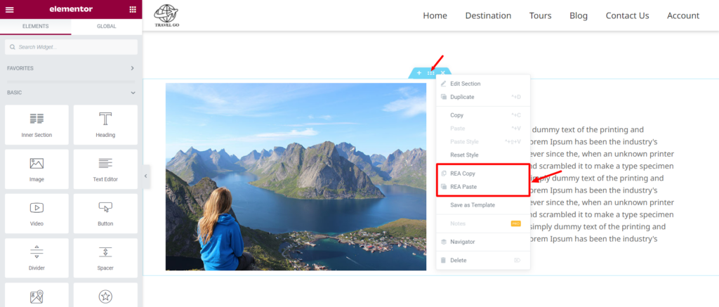 Cross site copy paste Elementor -Responsive Elementor Addons