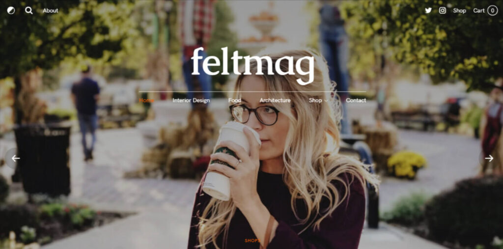 Felt WordPress Newspaper Themes