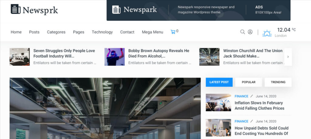 Newsprk WordPress Newspaper Theme