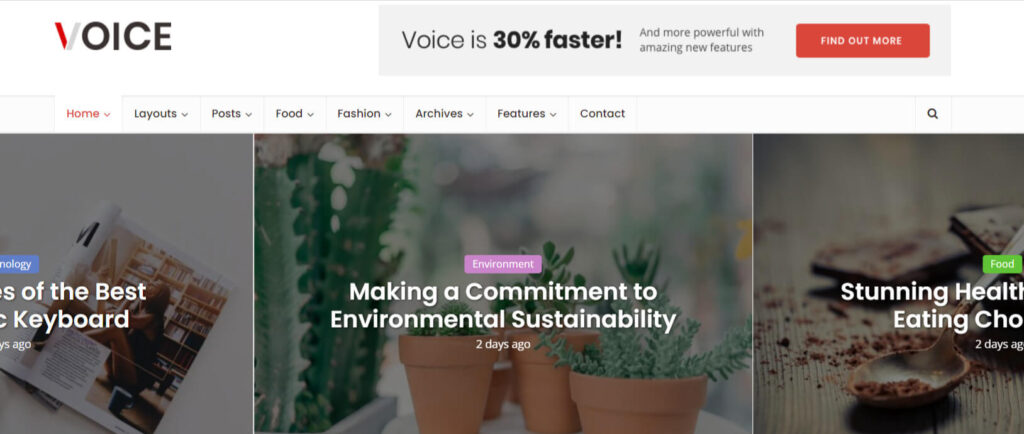 Voice WordPress Newspaper Theme