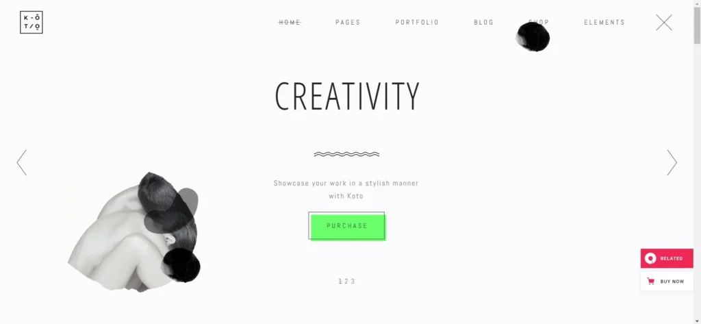Koto WordPress Theme for Artist