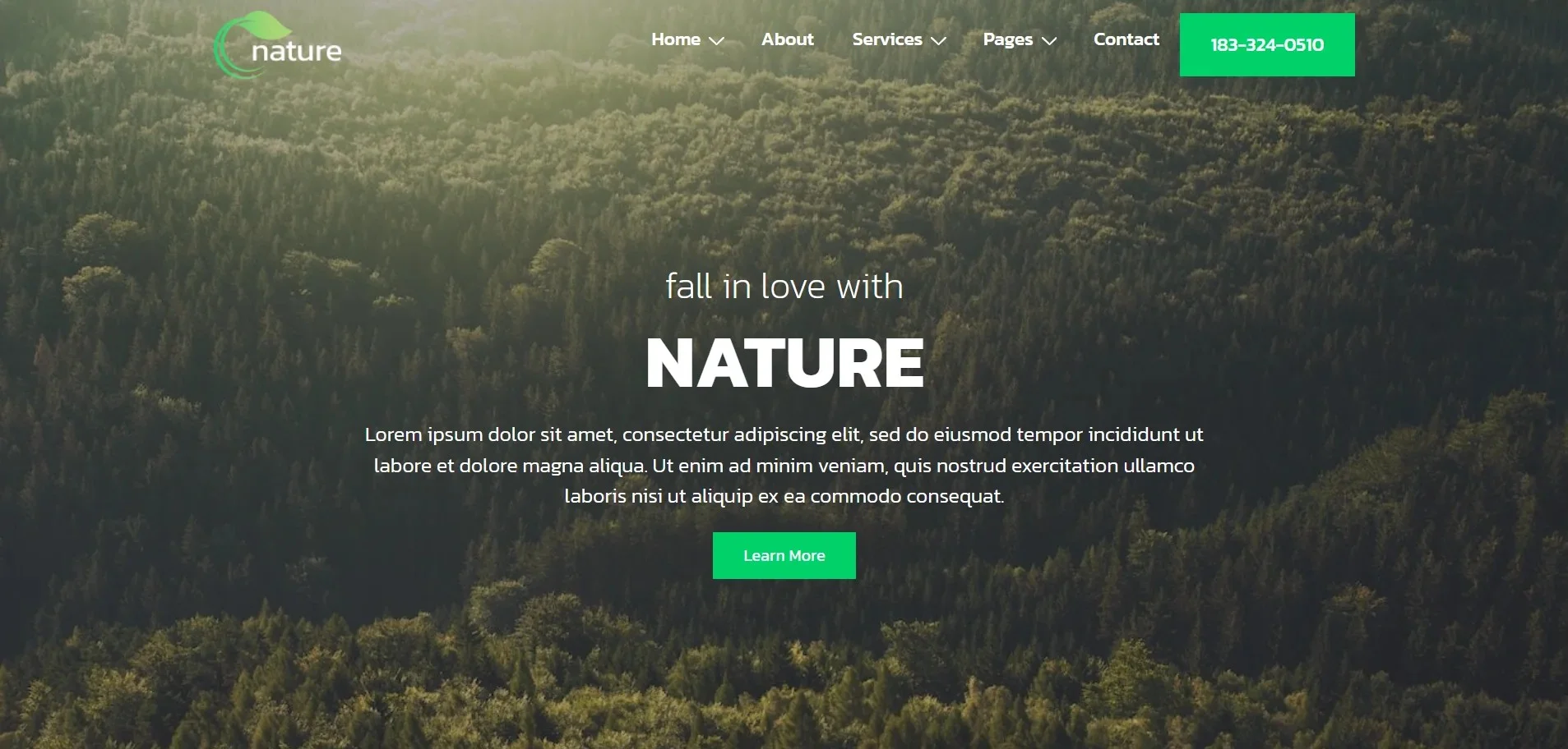 Nature WordPress website template