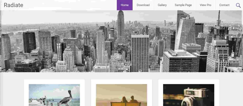 Radiate - Artist WordPress Theme