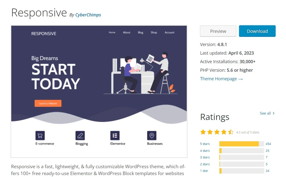 Responsive Theme