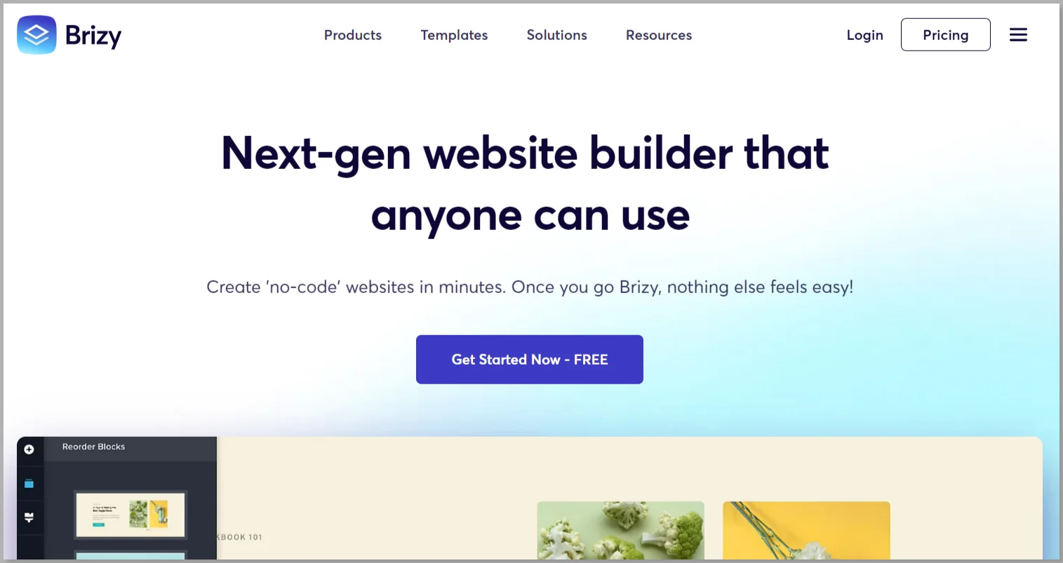 Brizy Pro theme builder