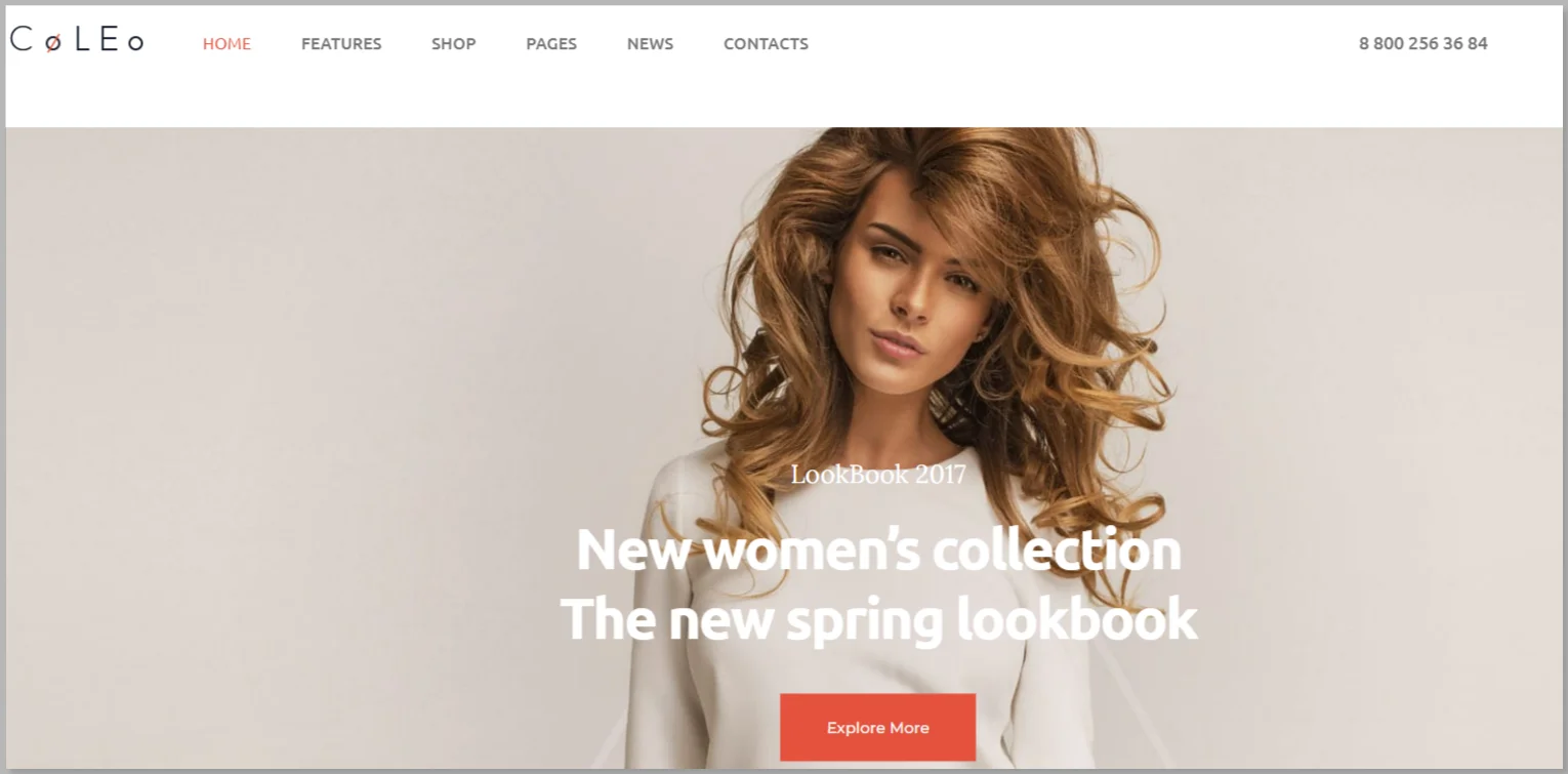 Coleo Clothing Store WordPress Themes