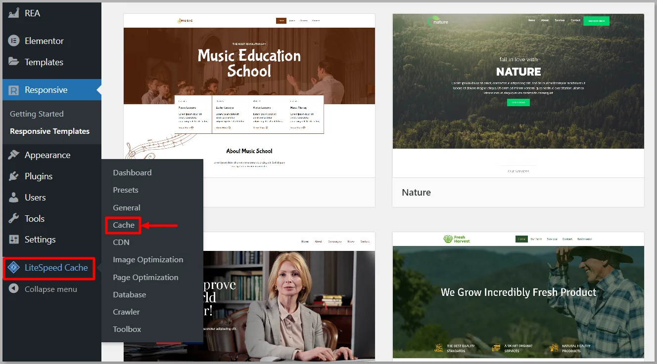 LiteSpeed cache in WordPress