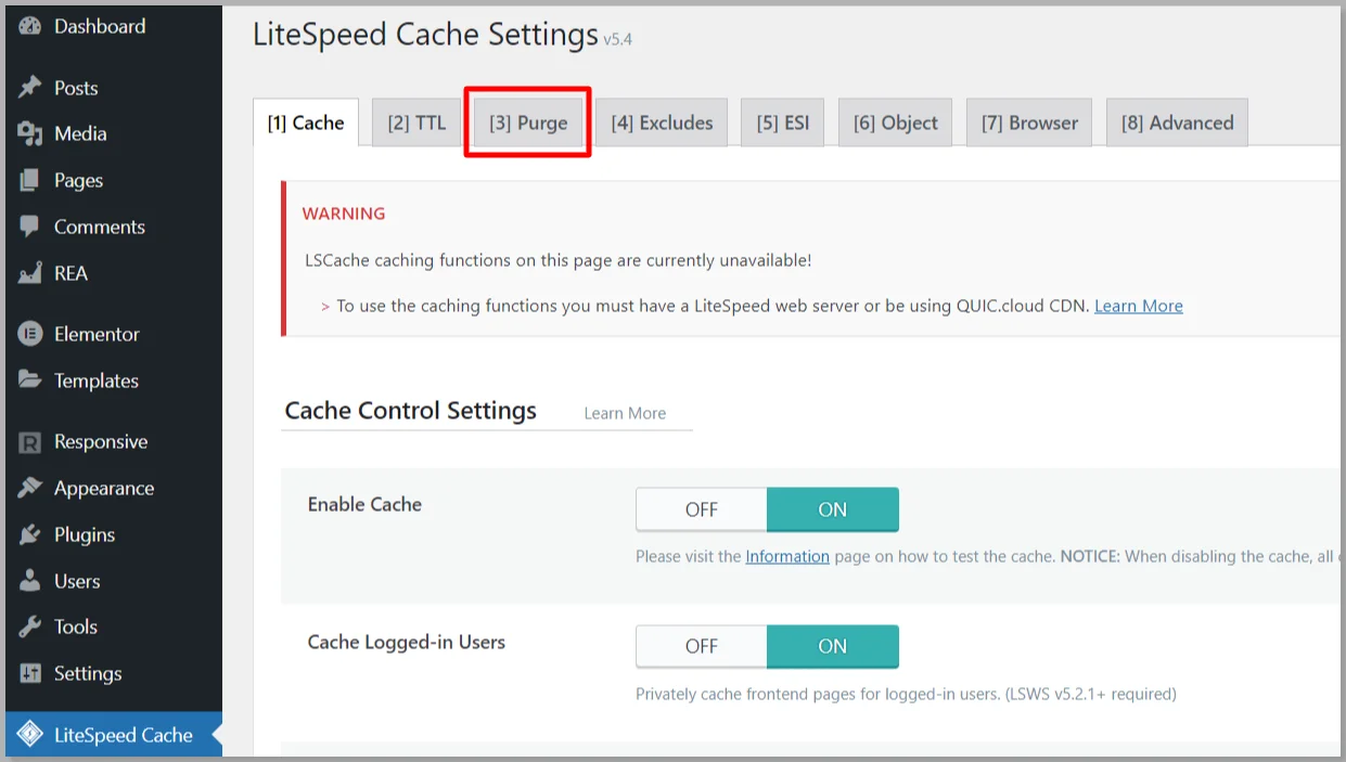 LiteSpeed purge option settings