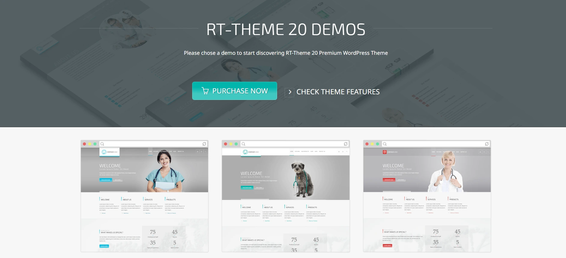 RT-Theme 20- WordPress theme