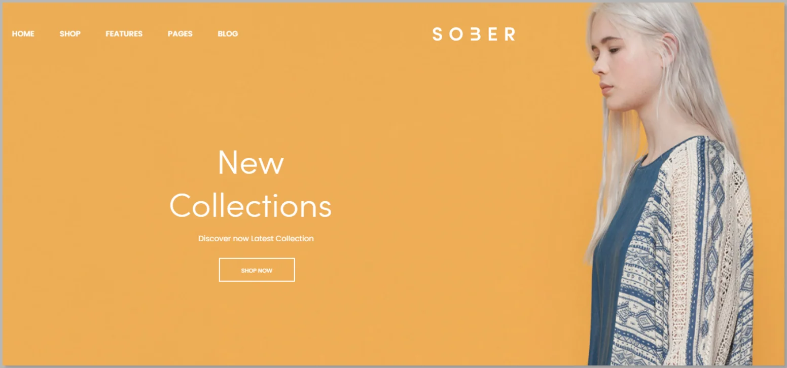 Sober - WooCommerce WordPress Theme