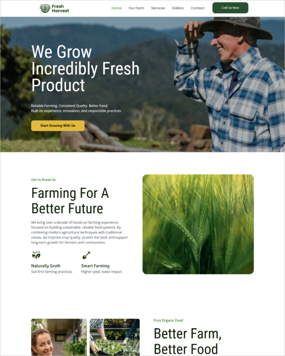 Farmer WordPress Template