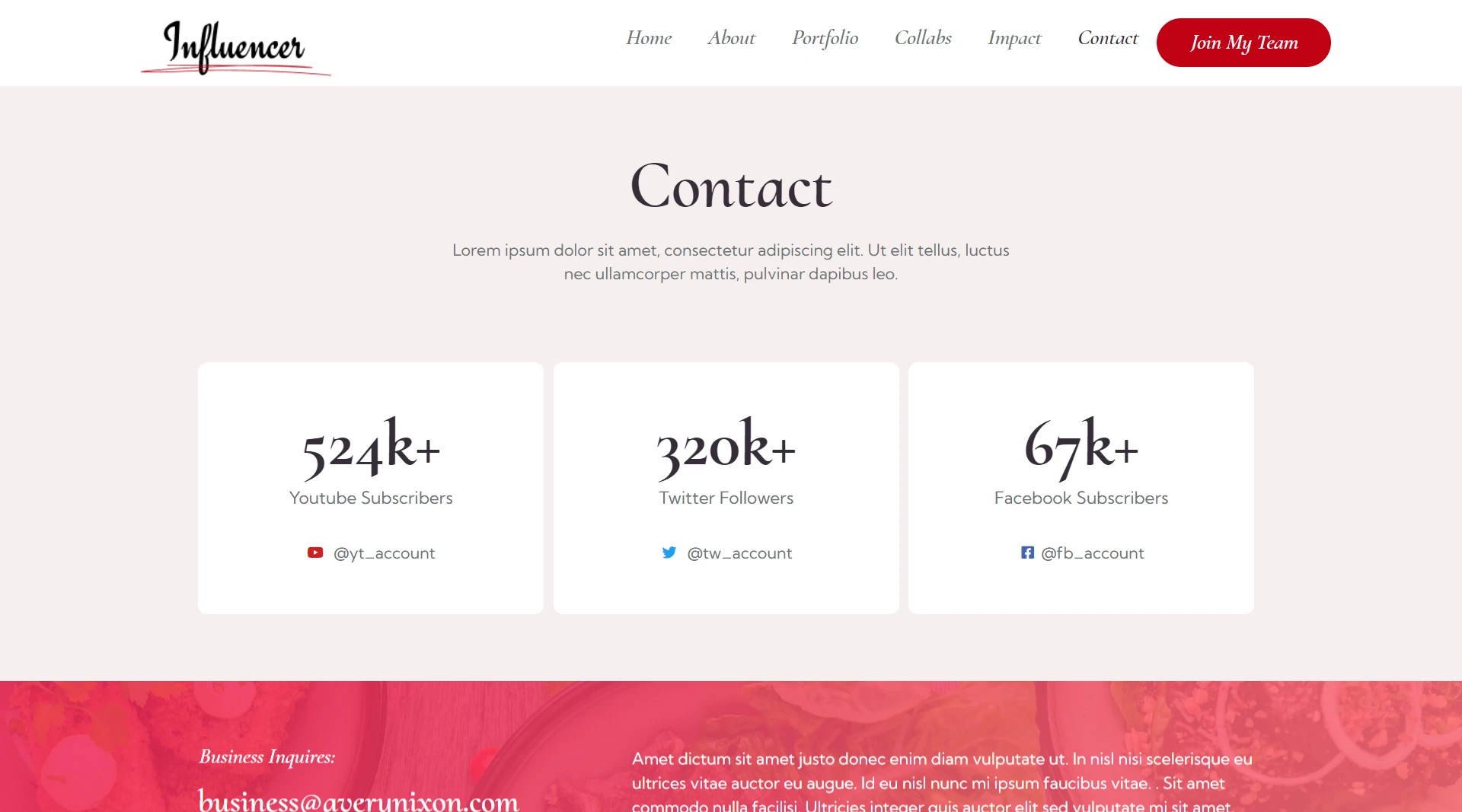 influencer wordpress theme