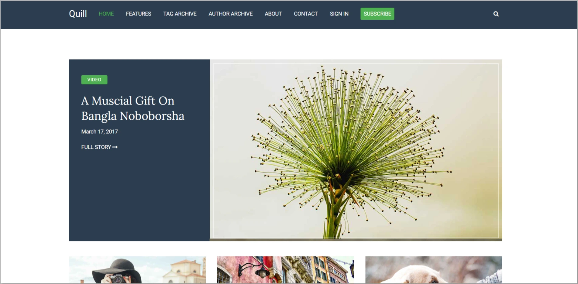 Quill WordPress Theme