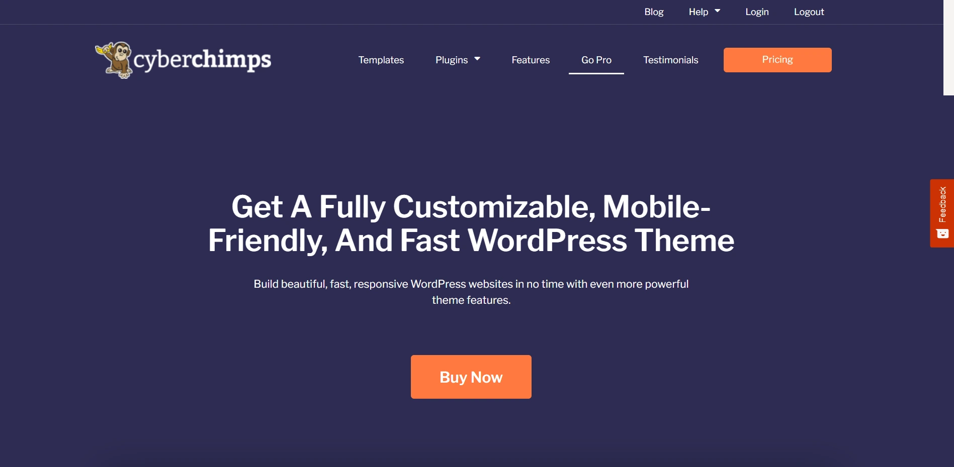 Responsive Pro Theme