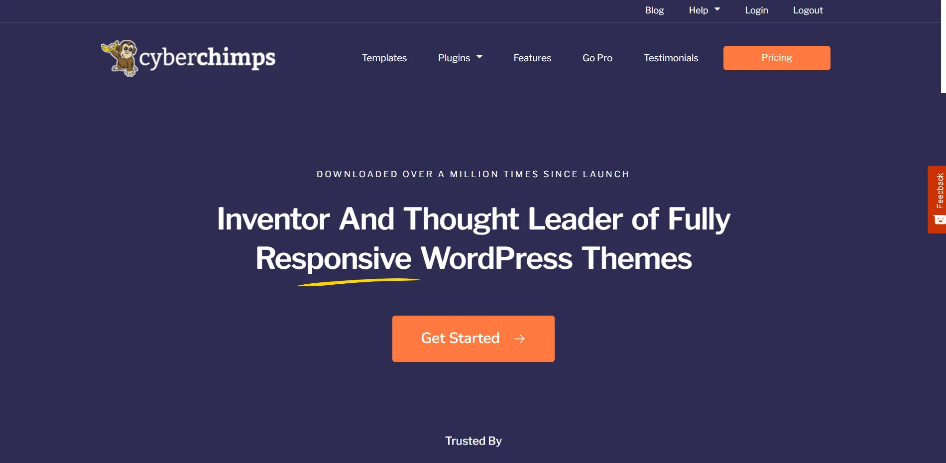Cyberchimps Responsive Theme