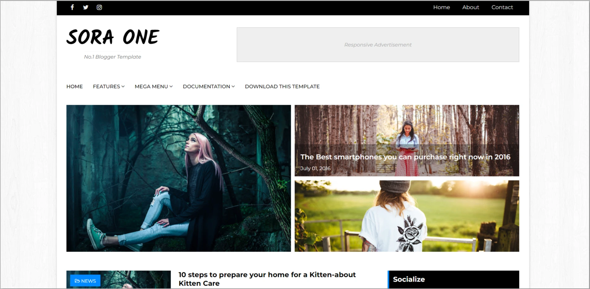 Sora One WordPress theme