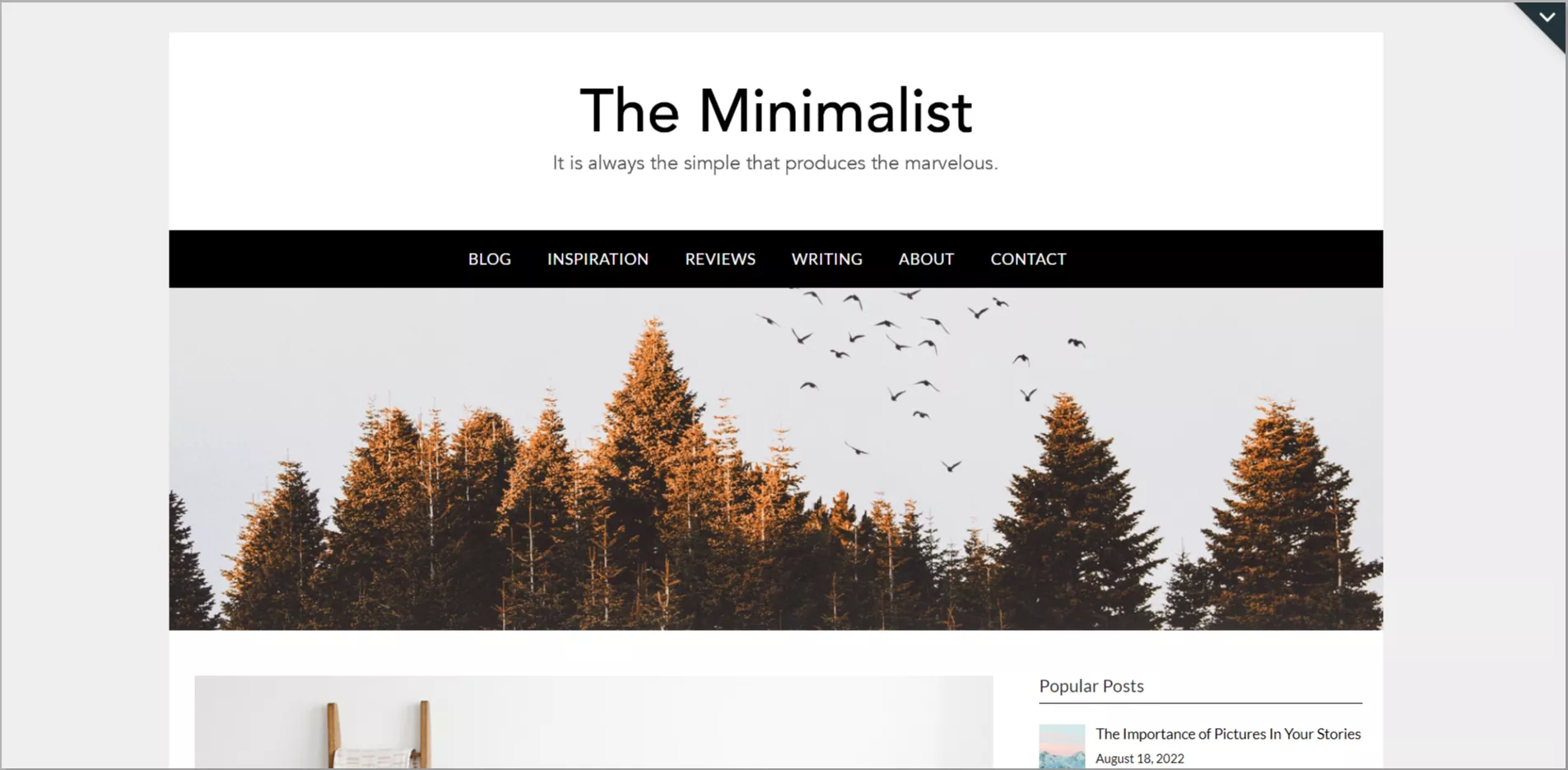 Fluid WordPress Theme