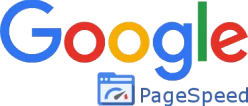Google Page Speed Logo
