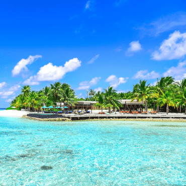 Responsive elementor addons image gallery widget - Beach