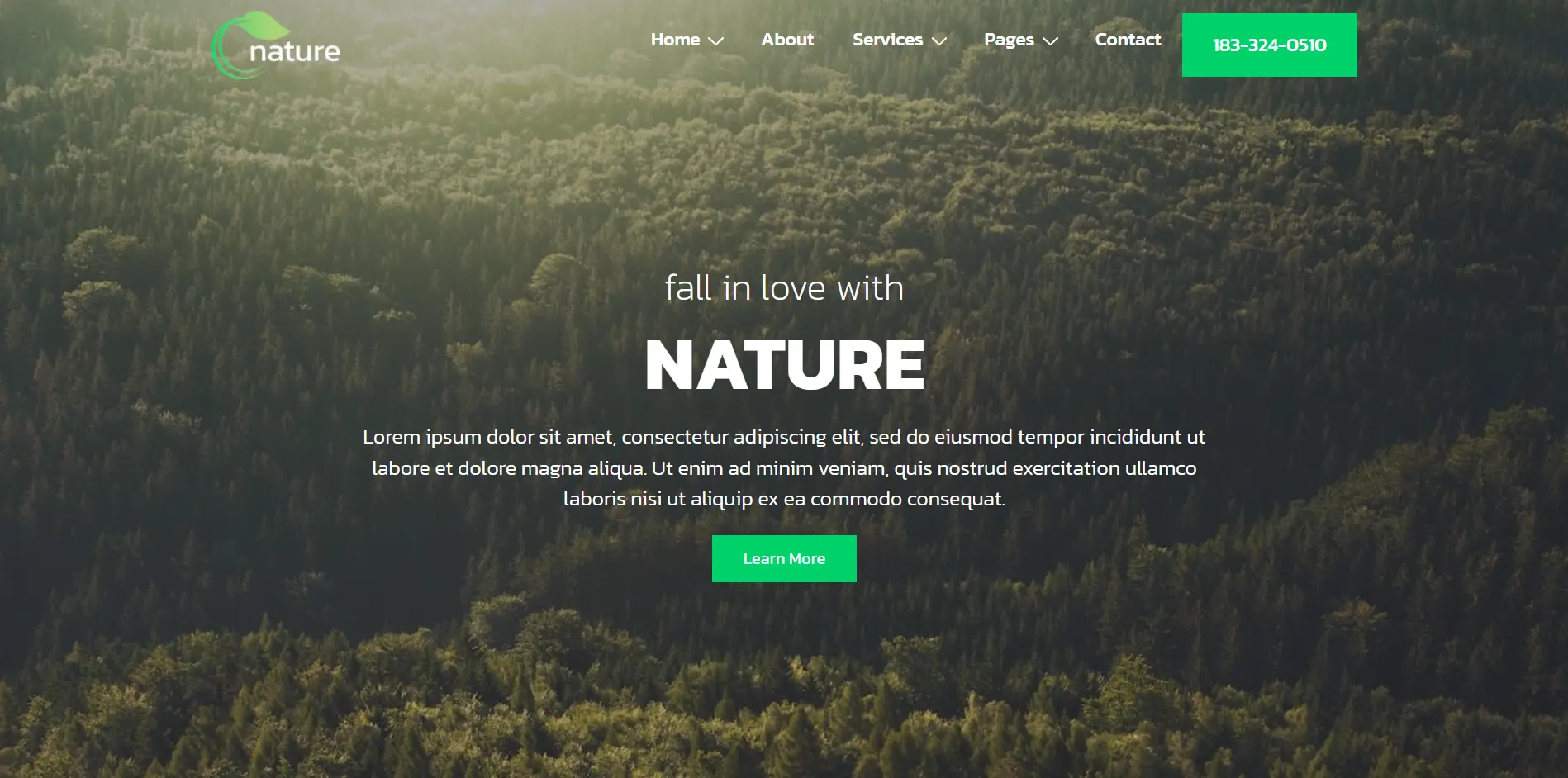 Nature WordPress themes - Nature website starter Template