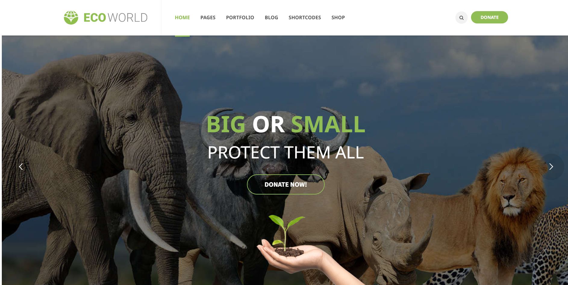 Eco World WordPress Theme