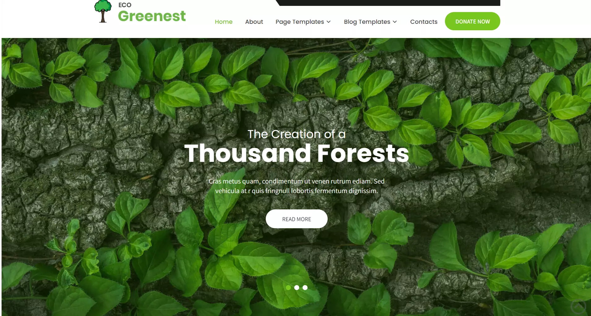 Eco Greenest Lite - Nature WordPress Themes
